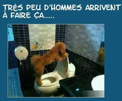 Humour