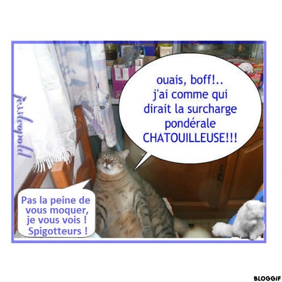 Humour