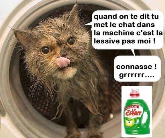 Humour