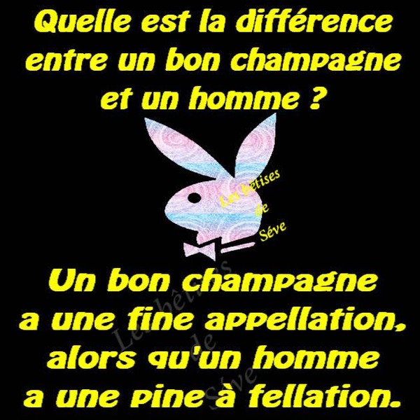 Humour