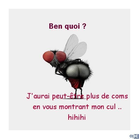 Humour