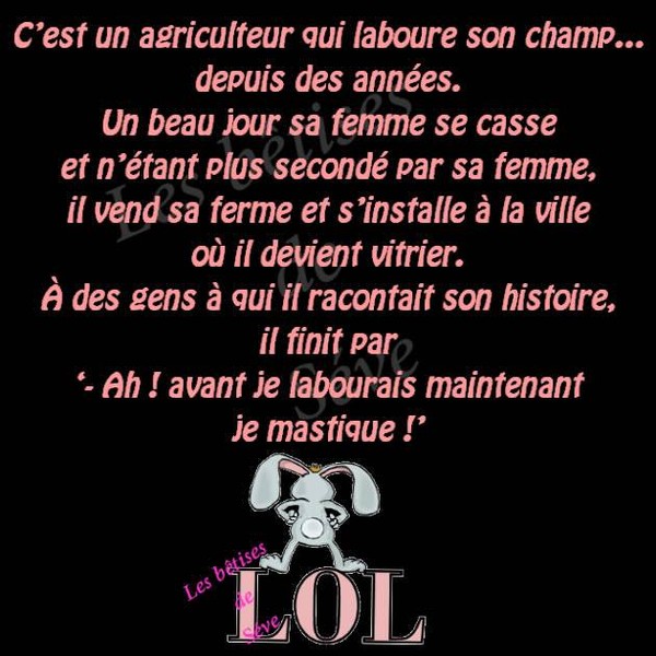 Humour