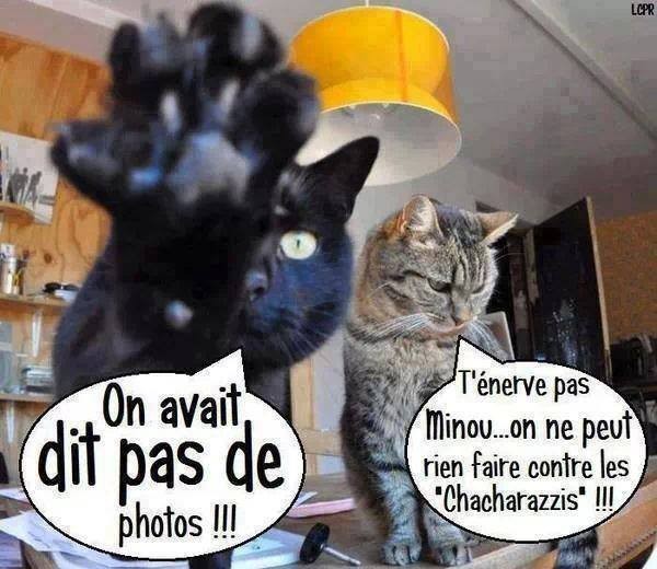 Humour