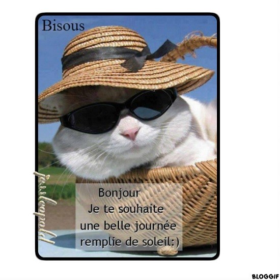 bonne journée