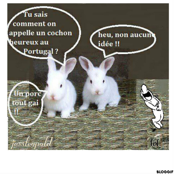 Humour