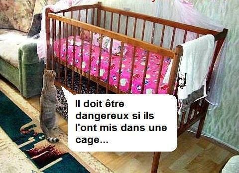 Humour