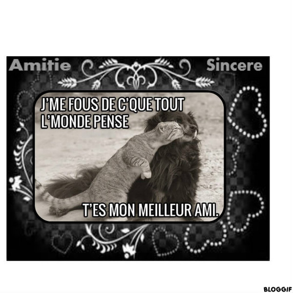 Amitié