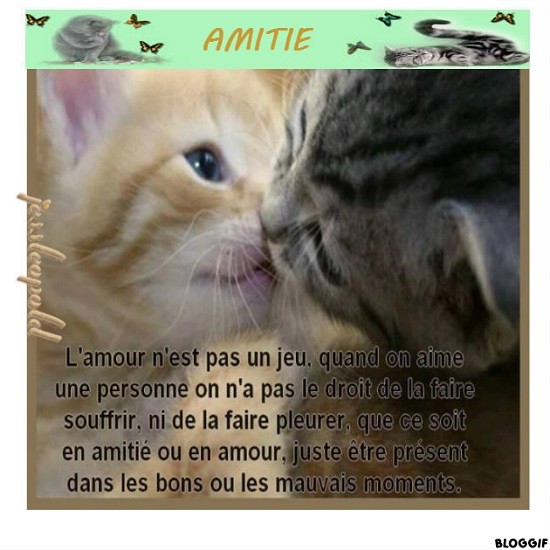 Amitié