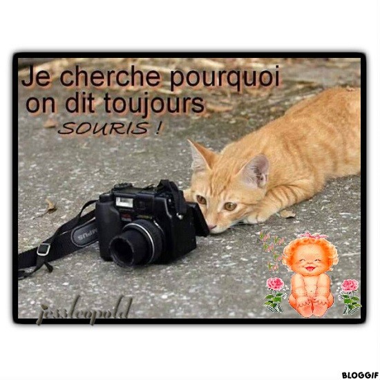 Humour