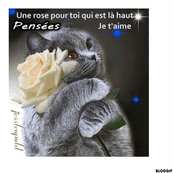 Pensées