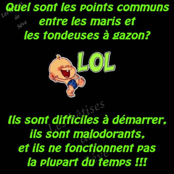 Humour