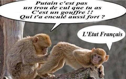 Humour